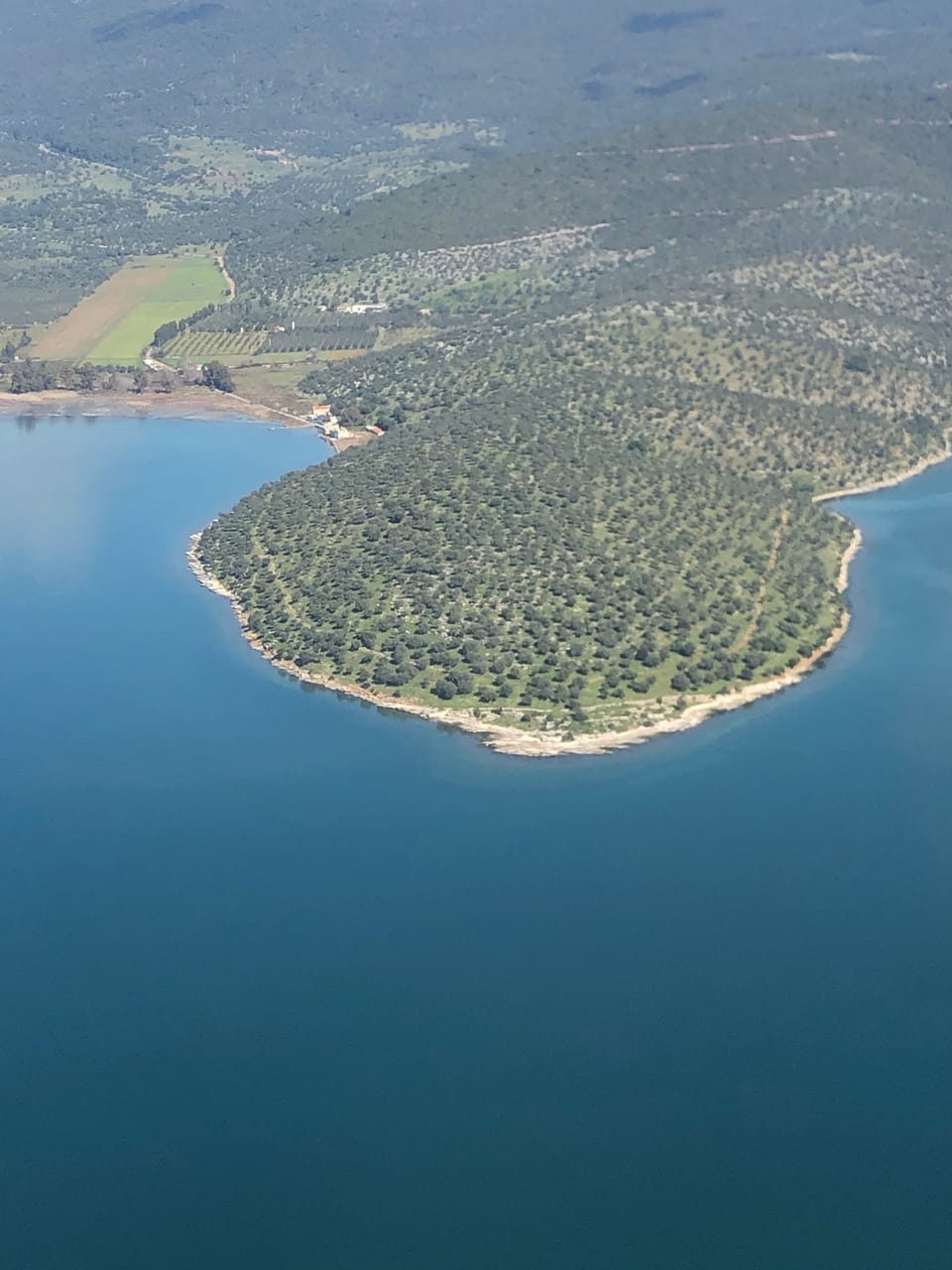 Denize uzanan zeytinlik yarımadanın havadan görünümü